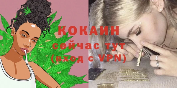 2c-b Козельск
