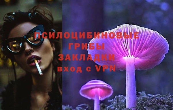 метадон Кодинск