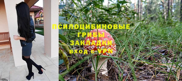 apvp Козловка