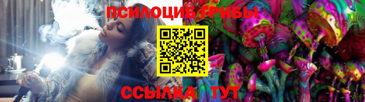 Псилоцибиновые грибы Psilocybine cubensis  Вход с VPN  Сызрань 